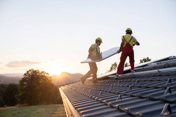 Best Roof Moss and Algae Removal  in Middleport, OH