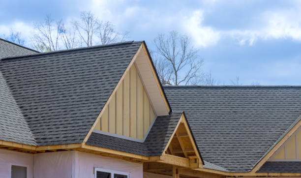 Best Skylight Installation and Repair  in Middleport, OH