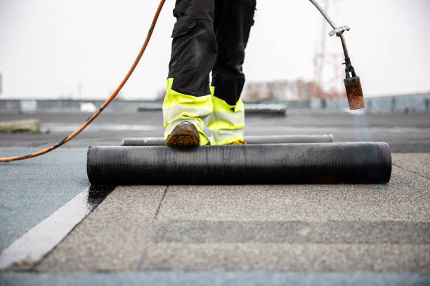 Best Roof Insulation Installation  in Middleport, OH