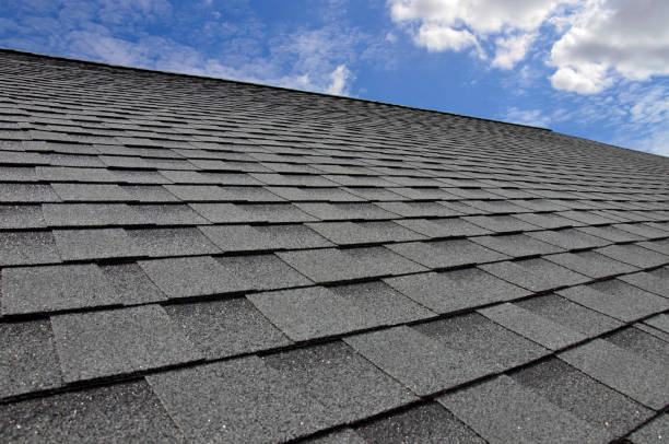 Best Roof Leak Repair  in Middleport, OH