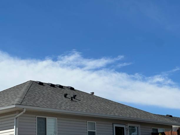 Best Asphalt Shingles Roofing  in Middleport, OH